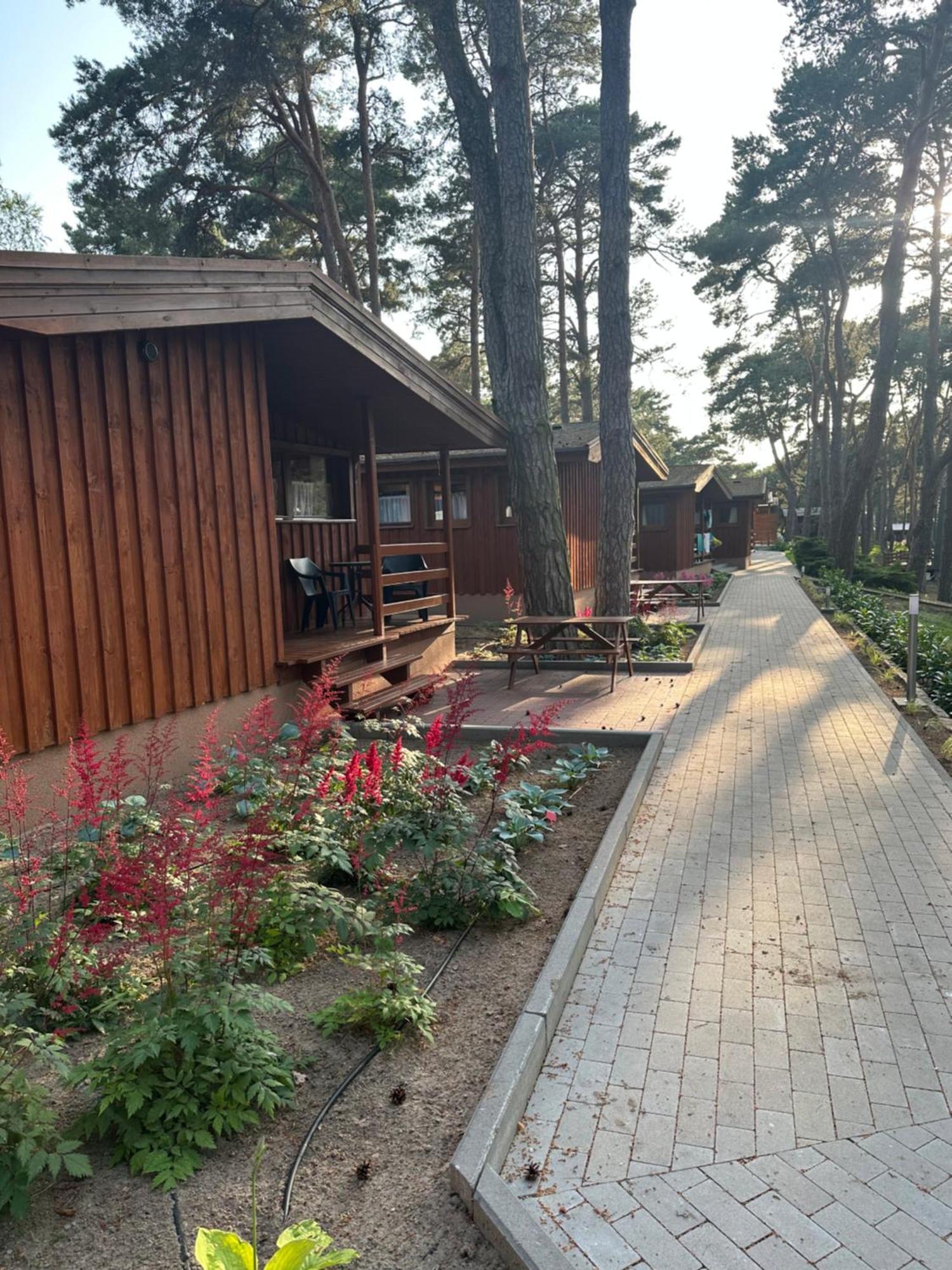 Campus Karolina Brenno Διαμέρισμα Εξωτερικό φωτογραφία
